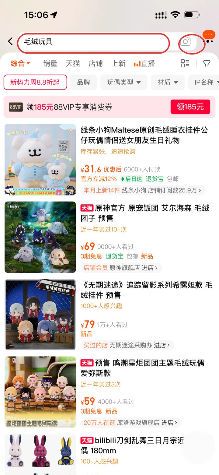 タオバオの検索画面 — 中国語キーワード「毛绒玩具」入力＋画像検索アイコン